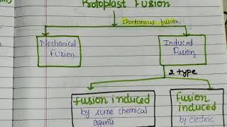 Protoplast fusion [upl. by Inahpets]