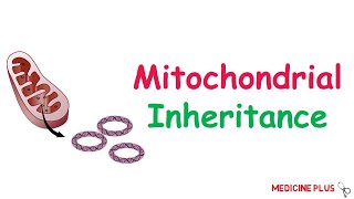 Mitochondrial Inheritance MCQ amp Mnemonic in 2 Minutes  Medicine Plus [upl. by Annaitsirhc]