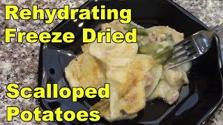 Rehydrating Freeze Dried Scalloped Potatoes [upl. by Jadwiga278]