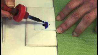 Preparing a microscope slide [upl. by Erapsag]