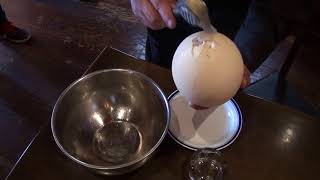 For outwinding egg dividing ostrich eggs ﾀﾞﾁｮｳﾀﾏｺﾞ割る 出し巻き卵用 [upl. by Hartzke]