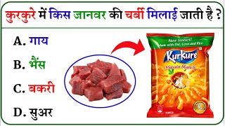 General Knowledge  Gk Questions  Gk Quiz  Gk ke sawal  Gk In Hindi [upl. by Verile]