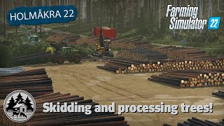 MAKING THE BIGGEST LANDING EVER  FS22  Forestry  Holmåkra 22  Timelapse  E12 [upl. by Hilary]