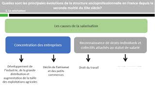 Quelles sont les principales évolutions de la structure socioprofessionnelle [upl. by Peckham389]