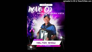 NELTON SHOW VOL 3 CD COMPLETO [upl. by Ayiotal974]