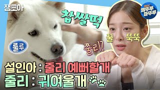 나 혼자 산다 이렇게 귀여우면 안 쥘리나 줄리😘집에서 꽁냥대는 설인아와 줄리🐕  설인아 줄리 MBC220429방송 [upl. by Ifar]