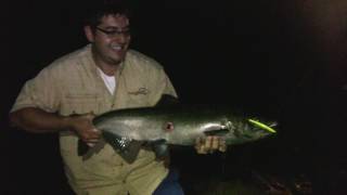 NightTime Fishing for Salmon in the Niagara Whirlpool [upl. by Afira535]