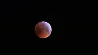 Total Lunar Eclipse  Totale Mondfinsternis 2019 [upl. by Kela]