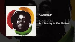 Jamming Africa Unite 2005  Bob Marley amp The Wailers [upl. by Gathers568]