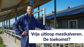 Wordt dit de nieuwe manier van kalveren houden  Jan Dubbelhuis over zijn proef met vrije uitloop [upl. by Mellisa762]