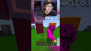 Minecraft Arrow Toss NEW🏹⚔️Cheappickle camman18 tinymacdude minecraft shorts minecraftshorts [upl. by Nolyak]