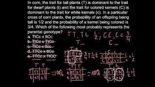 How to solve genetics problems step by step [upl. by Nickey]