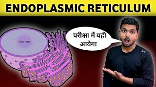 Endoplasmic Reticulum in Hindi [upl. by Birkner]