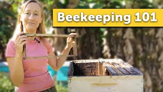 BEEKEEPING 101  How to Keep Bees for the Absolute Beginner Beekeeper [upl. by Tugman726]