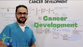 How Does Cancer Develop In The Body [upl. by Assirt289]