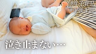 生後4週、年子の娘たちに手を焼く新生児ママの朝昼【生後4週】 [upl. by Chaim937]