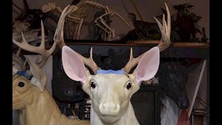 Painting and Detailing My Whitetail Deer Antlers [upl. by Emmett]