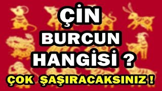 ÇİN ASTROLOJİSİNDE ÇOK ŞAŞIRACAĞINIZ BURÇ ÖZELLİKLERİNİZ [upl. by Leith]