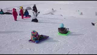 Snowy mountain toboggan snow play [upl. by Lorelie]