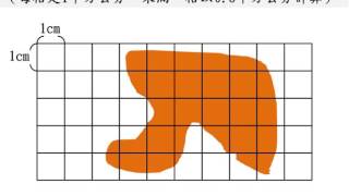 【觀念】不規則圖形面積估算617 [upl. by Gwynne]