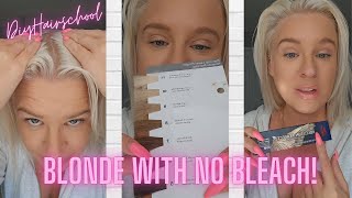 How To Get Platinum Blonde Hair WITH NO BLEACH [upl. by Atteuqehs]