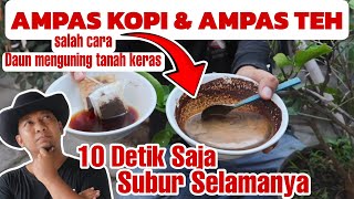 Cara Aman Memupuk dengan Ampas Kopi amp Teh [upl. by Ardath]