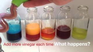 Baking Soda and Vinegar Reaction [upl. by Wymore]