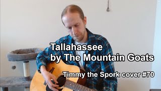 Tallahassee  Mountain Goats Cover [upl. by Lorrac]