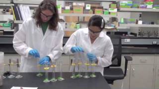 Anaerobic Biodegradation Experiment [upl. by Teague382]