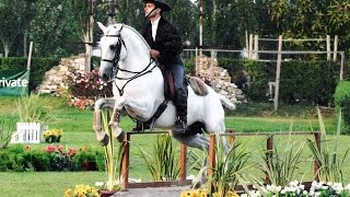 Working Equitation a Fun Way to Train Seriously  Pedro Neves clinic [upl. by Renie]