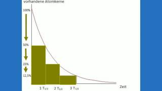 Aktivität und Halbwertszeit [upl. by Natanoy]