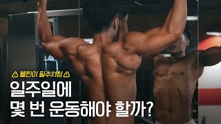 2분할 3분할 운동 횟수가 아주 중요합니다 분할법반복수루틴짜는법 [upl. by Airet]