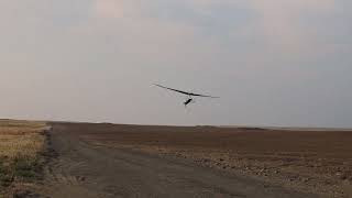 Atos VQ Race landing 72724 hanggliding [upl. by Germayne302]