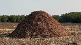 Celebrate Learn About Composting Day  May 29 [upl. by Etz580]