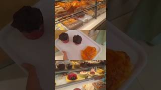 ₊˚ʚ ᗢ₊˚🌷🫧 bakery holland [upl. by Esau]