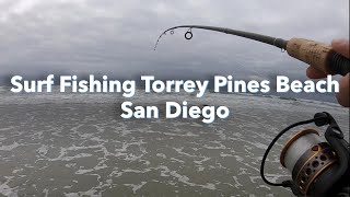 Surf Fishing Torrey Pines State Beach  Spotfin Barred Surfperch Opaleye and more [upl. by Aeht625]