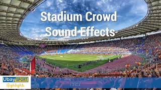 Stadium Crowd Sound Effects  1 hour [upl. by Eissehc]