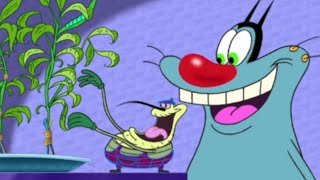 NEW FRIEND  Oggy and the Cockroaches S02E09 BEST CARTOON COLLECTION  New Episodes in HD [upl. by Bisset]