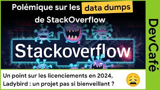 StackOverflow fait polémique avec les data dumps 😵 Ladybird  déjà des casseroles  🍳 DevCafé 1507 [upl. by Julis]