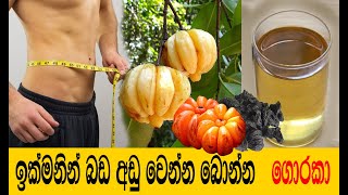 ඉක්මනින් බර අඩු කරන ගොරකා පානය Goraka drink for weight loss  Kettu Wenna [upl. by Enenstein]