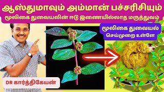 ஈடுஇணையில்லாத மூலிகை துவையல் அம்மான் பச்சரிசி  dr karthikeyan tamil [upl. by Violeta334]