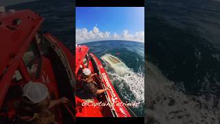 Capsized 14’ catamaran boat during lobster mini season Salvage amp rescue captainretriever [upl. by Nipahc303]