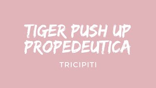 TIGER PUSH UP PROPEDEUTICA [upl. by Salita434]