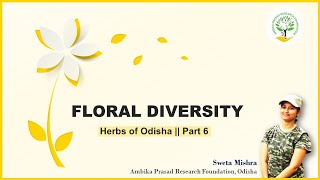 Floral diversity  Part 6  Lamiaceae  Ambika Prasad Research Foundation [upl. by Ramey]