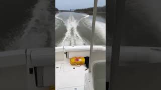 The PERFECT BOAT  2000 Pursuit 3400 w Volvo Diesels boat pursuit diesel volvo sportfishing [upl. by Frasier]