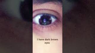 I have dark brown eyes [upl. by Yema]