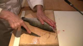 How to scale gut and fillet a fish [upl. by Kimon431]