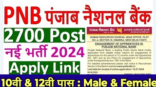 PNB Bank New Vacancy 2024  PNB Recruitment 2024  PNB Vacancy online application form fill up [upl. by Airtemed]