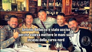 Antonio Bellocco è stato ucciso perché voleva mettere le mani sugli incassi della curva nord [upl. by Aleahs]