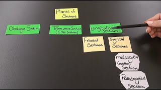 The 4 Anatomical Planes of Sections [upl. by Angelis]